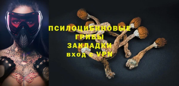молекула духа Абинск