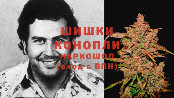 молекула духа Абинск