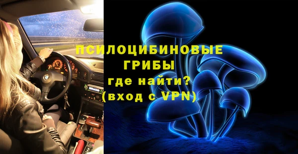 молекула духа Абинск